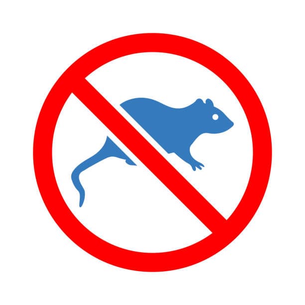 Say Goodbye to Rodents – Proven Solutions for a Pest-Free Space!