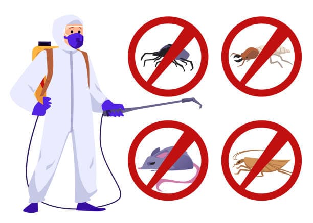 Spot the Signs, Stop the Infestation – Fast & Effective Rodent Control!