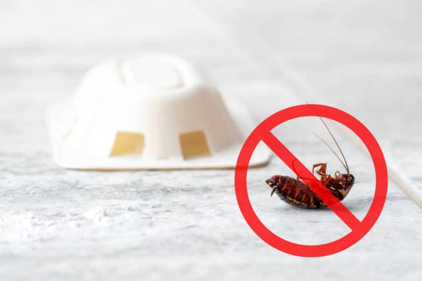 Protect Your Home, Keep Pests Away – Simple & Effective Prevention Tips!